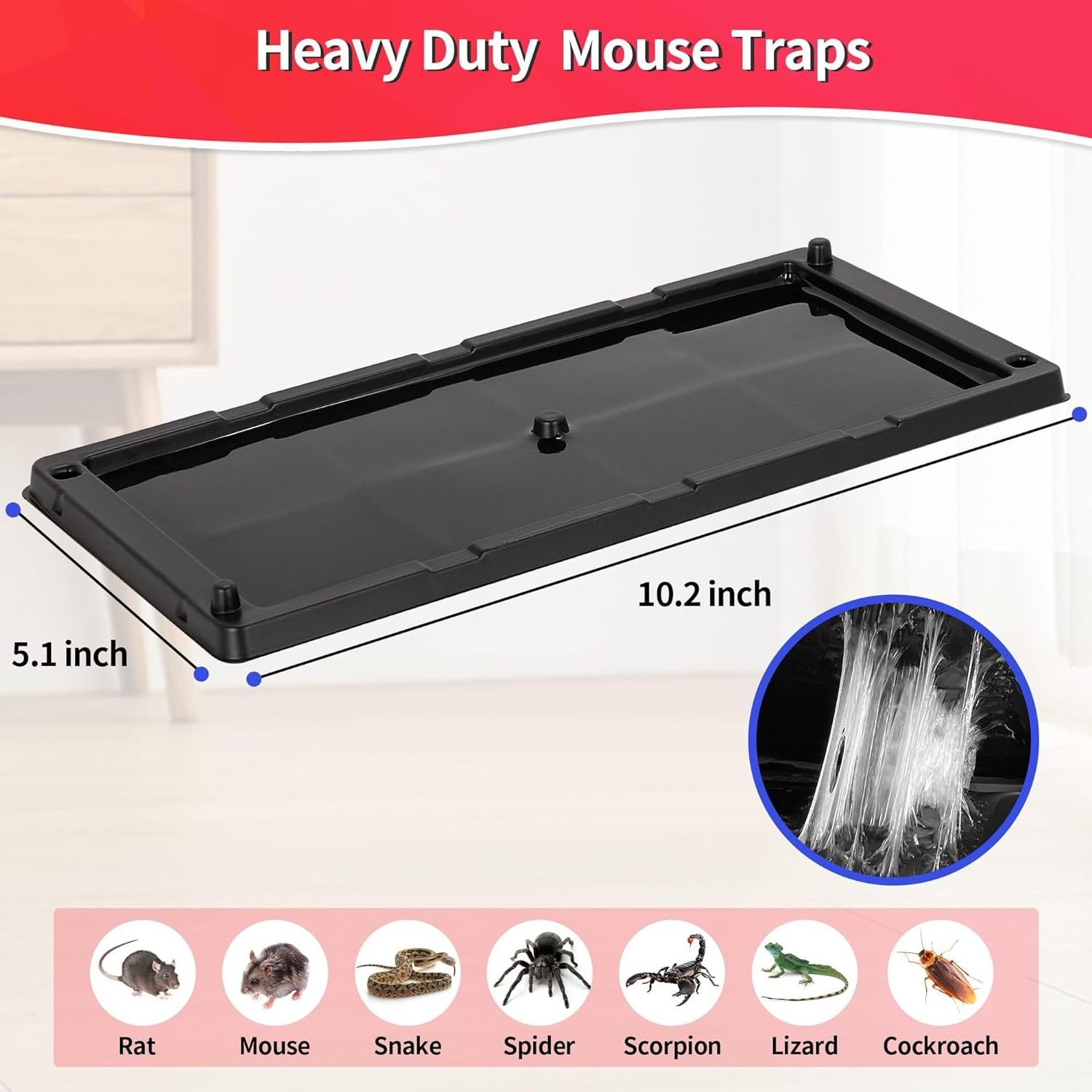 MOUSE&RAT Mice Glue Tray Traps  Adhesive for Home, Insect Traps Indoor, Sticky Bug Catcher for Kitchen, Garage,Catchmaster