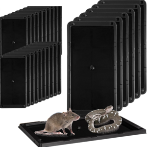 MOUSE&RAT Mice Glue Tray Traps  Adhesive for Home, Insect Traps Indoor, Sticky Bug Catcher for Kitchen, Garage,Catchmaster