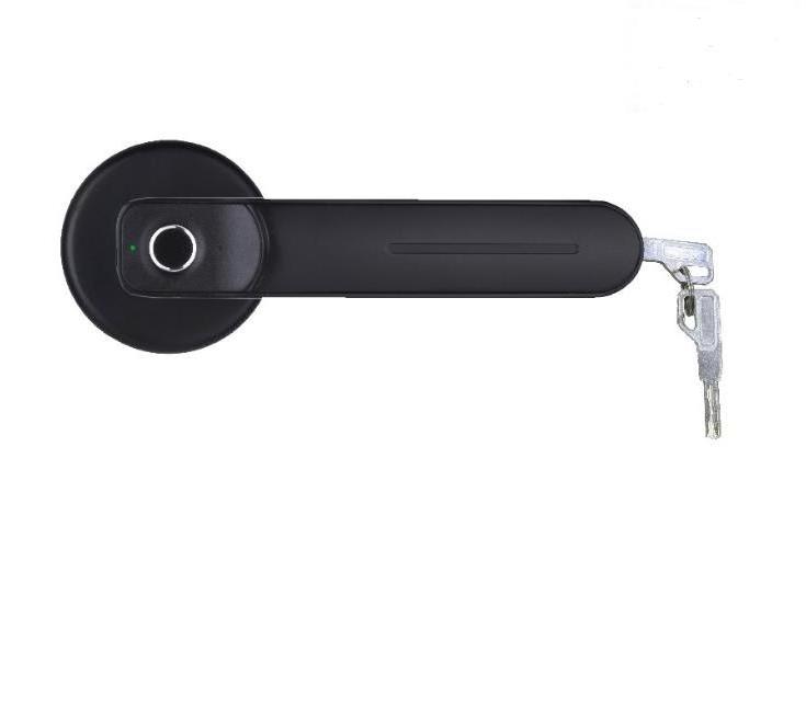 Zhenzhi Fingerprint Door Lock Key less Door Knob with Passage Mode Biometric Fingerprint Bedroom Door Handle Locks for Home