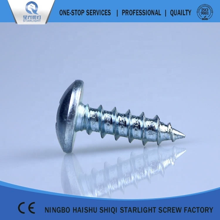 DIN 7981 Cross recessed pan head self drilling tapping screw and nut customize (304 Stainless steel)