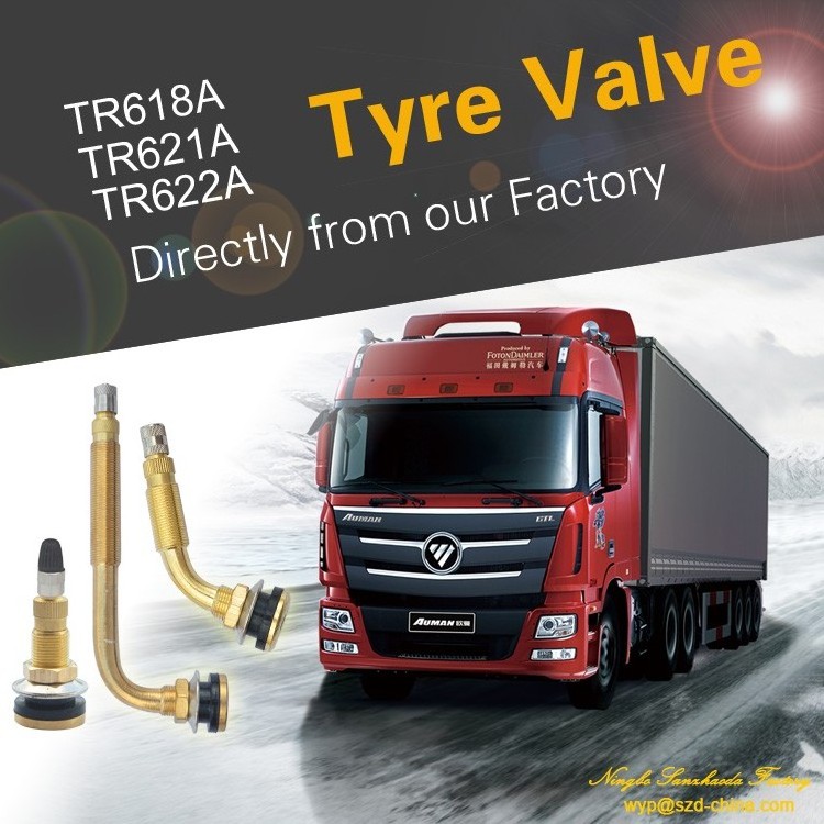 tubeless bus  agricultural tractor brass wheel tire inflate nozzle TR621A truck valve TR618A TR622A