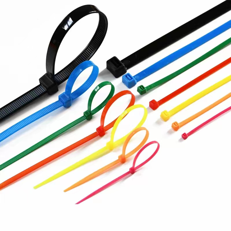 CE Approved Colorful 18LBS 8KG Selflocking Nylon 6 Nylon 66 Cable Tie Nylon Tire Wholesalers