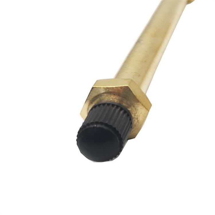 Auto Car Truck Brass Wheel Tire Valve Extension Tube with Caps