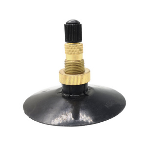 TR218A /TR220A  Natural Rubber Vacuum Tire Valve Steam For Truck Tires  With Brass Stem And Core