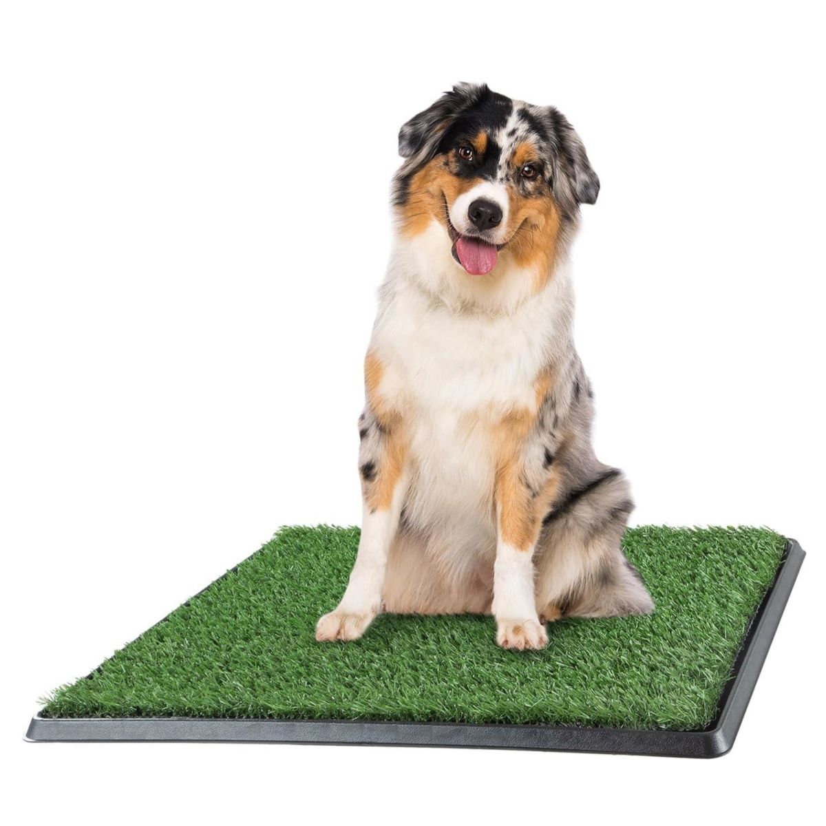 Puppy Pee Tray Relief Training Artificial Grass Mat Easy Clean Removable Pet Dogs Indoor Toilet