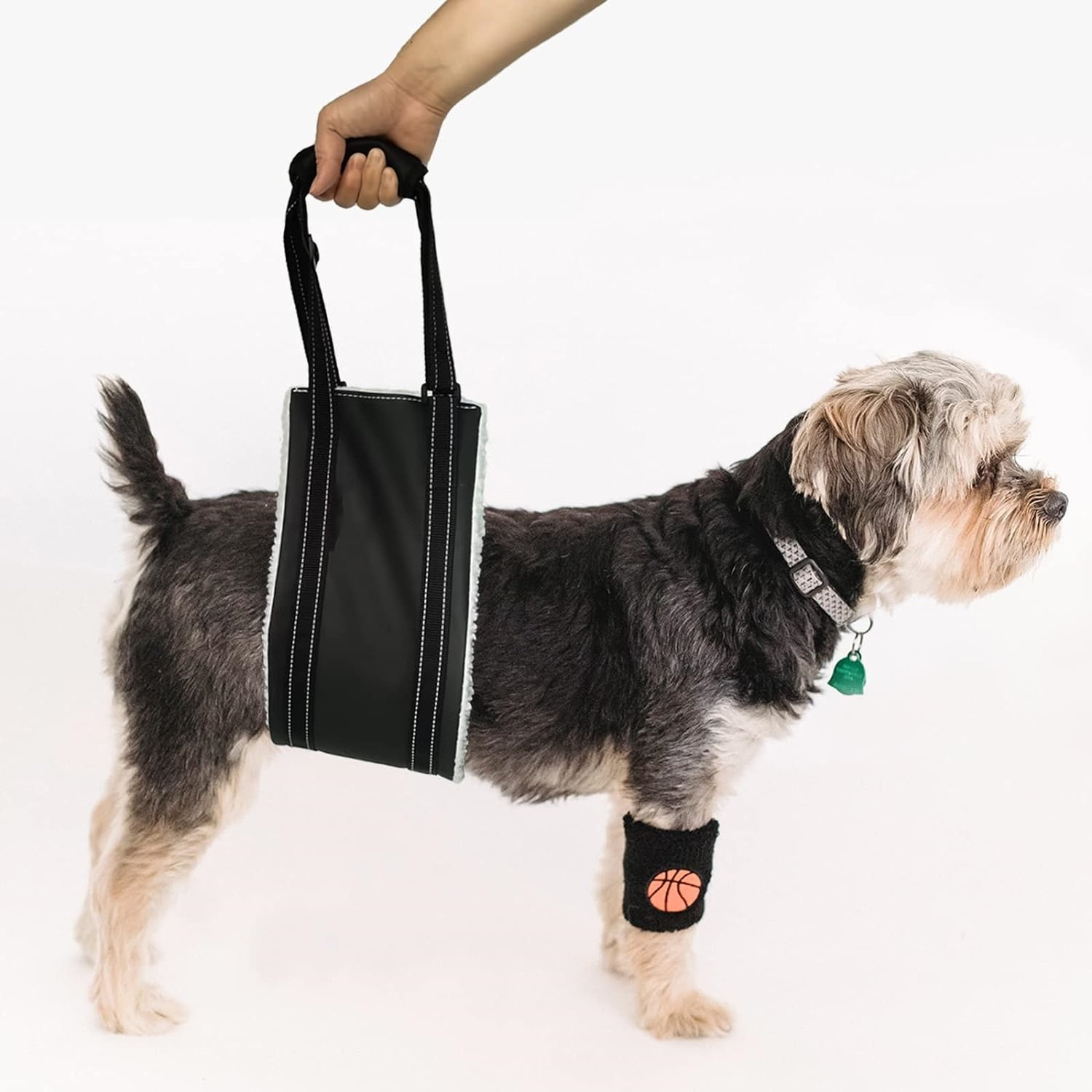 Dog Lift Full Body Support Rehabilitation Harness Carry Sling Dog Rear Hip Leg For Disabled Pets