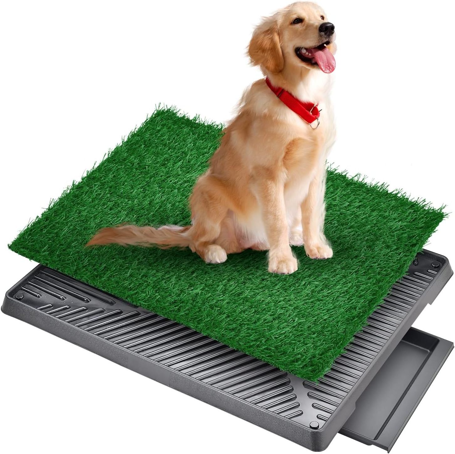 Artificial Grass Potty Trainer Indoor Restroom for Dogs BestSuppliers