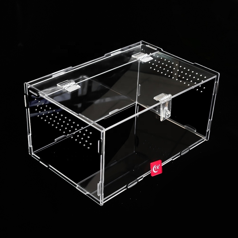 TX Animals Insects Feeding Box Habitat Terrariums Tarantula Enclosure Terrarium Reptile For Small Animals Insect Home Office