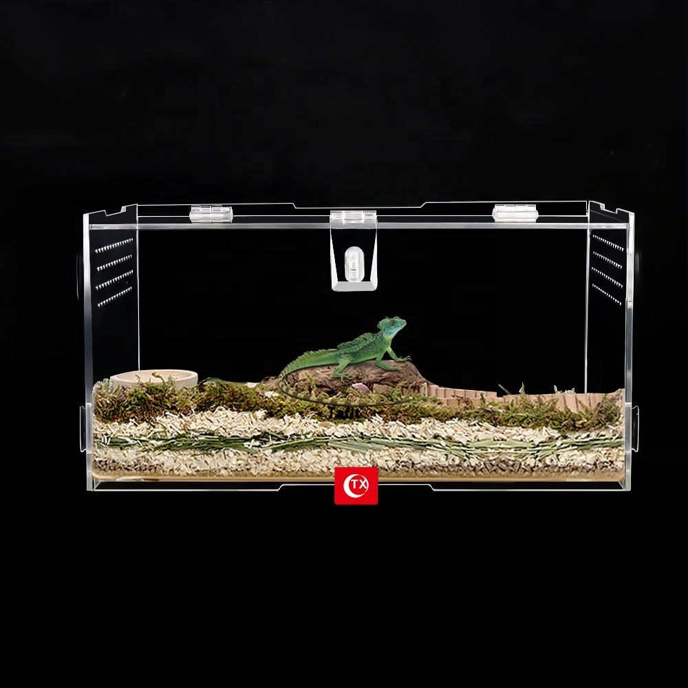 TX Animals Insects Feeding Box Habitat Terrariums Tarantula Enclosure Terrarium Reptile For Small Animals Insect Home Office