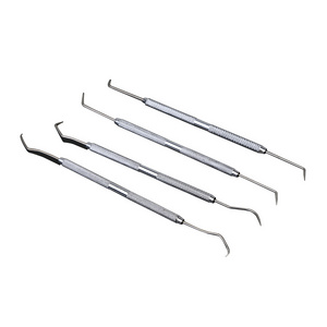 4 pcs  precision double sided Mini Hook tooth dust combo stainless probe pick tool Set