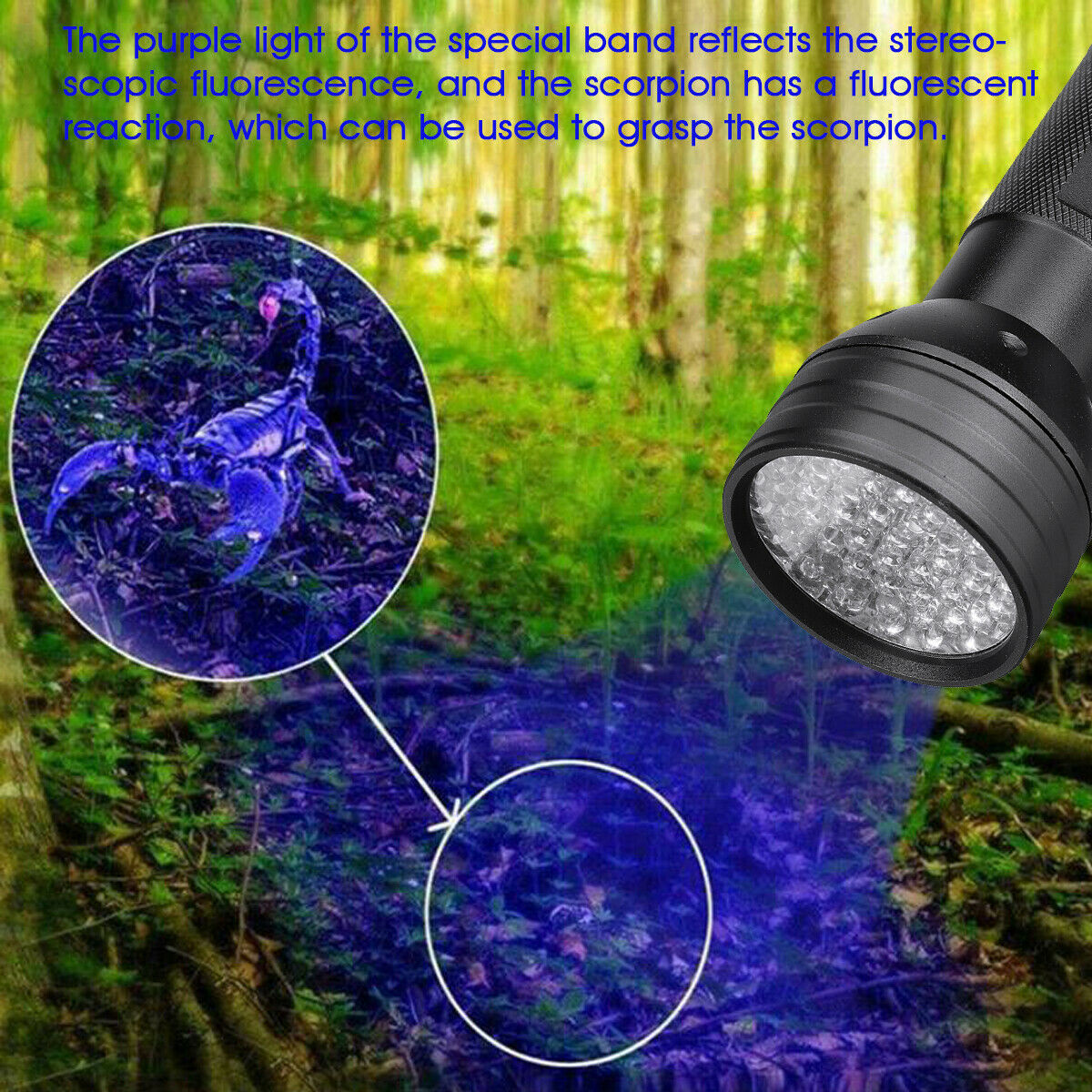 Portable Pocket 365nm Mini Purple Light Pet Urine Led UV Detector Flash Light 51 Led Ultraviolet Blacklight