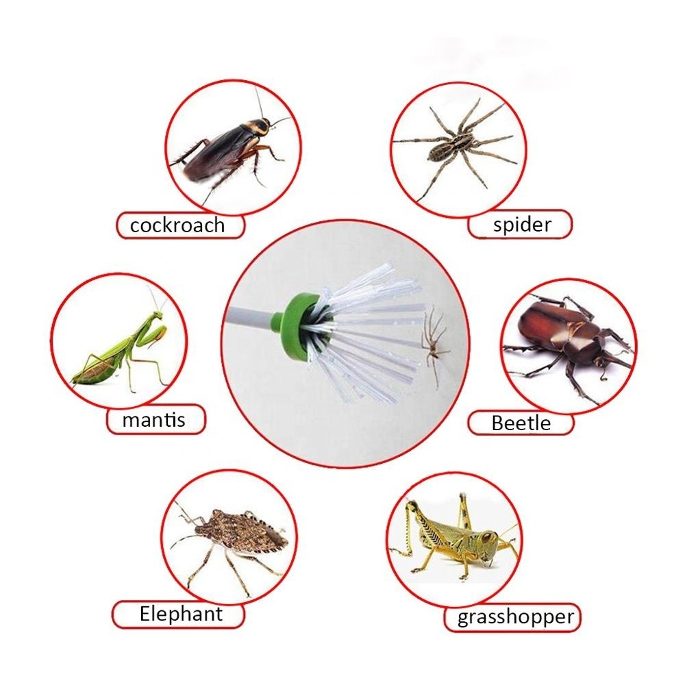 Multi Function Plastic Insect Catcher Spider Catcher Home Safety Easy Remove Spider Critter Insect Catcher