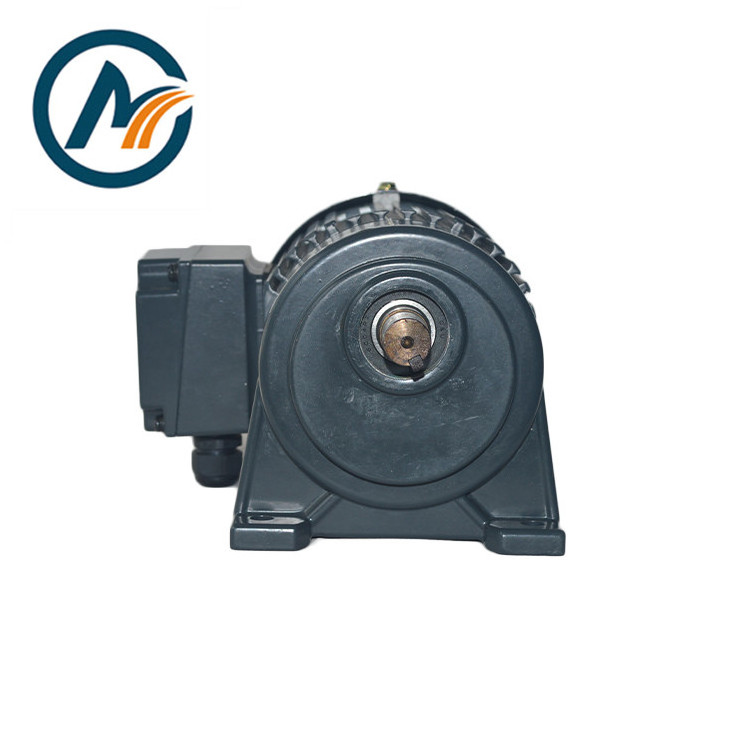 High Torque Low Rpm 0.2KW 60 Rpm  aluminium housing 3 phase electric induction ac gear motor Speed Reducer