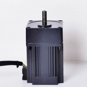 200W Low Voltage 24v/36v/48v brushless dc motor