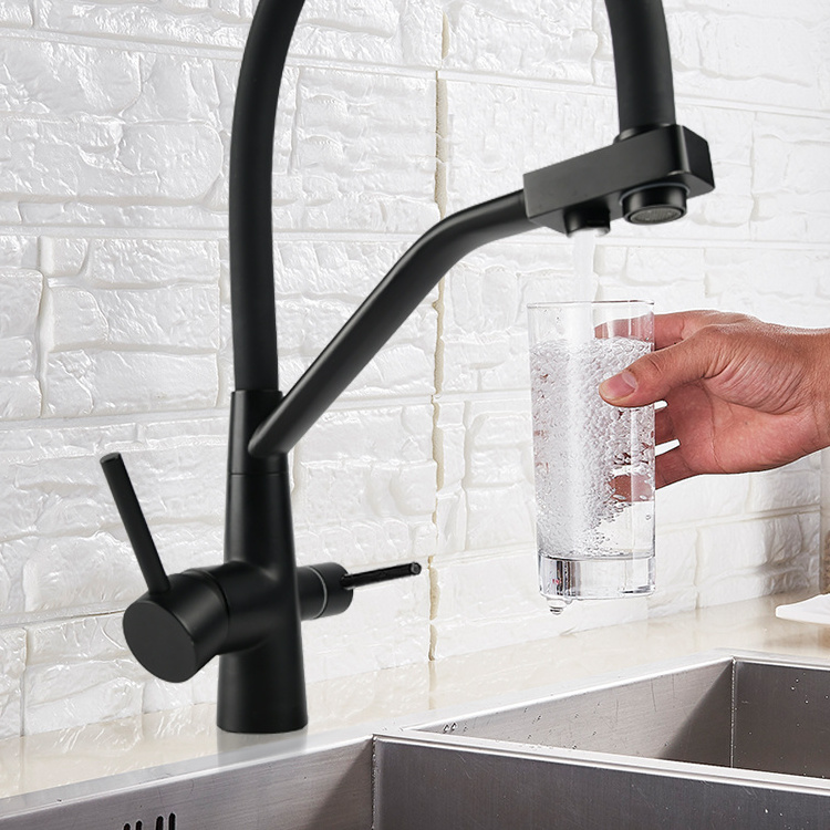 SANIPRO Double Handle Stainless Steel Flexible Silicone Tube Black Pull Out Sink Tap Mixer Water Purifier Filter Kitchen Faucets