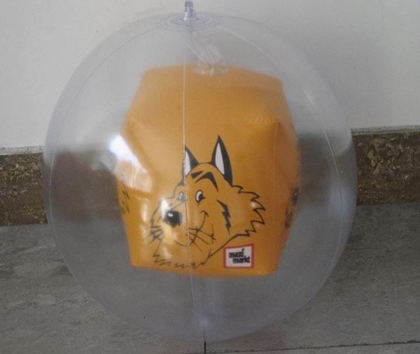 Inflatable transparent beach ball with toy fish inside