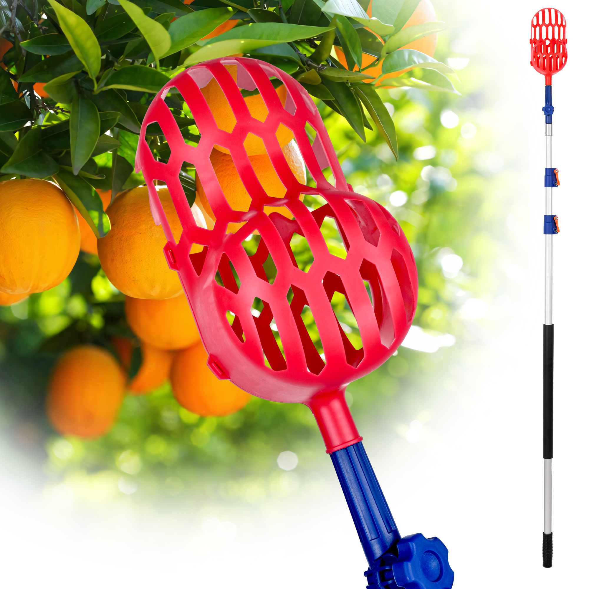 Fruit Picker with Basket Telescoping  Apple Picker telescopic extension pole