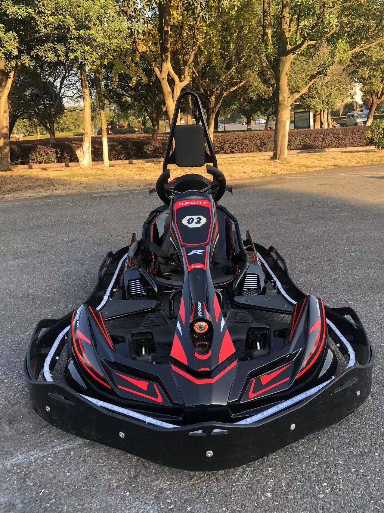 Hot Sale Go Kart Pro high speed kids racing go karting adult racing go kart for sale max speed 60km/h