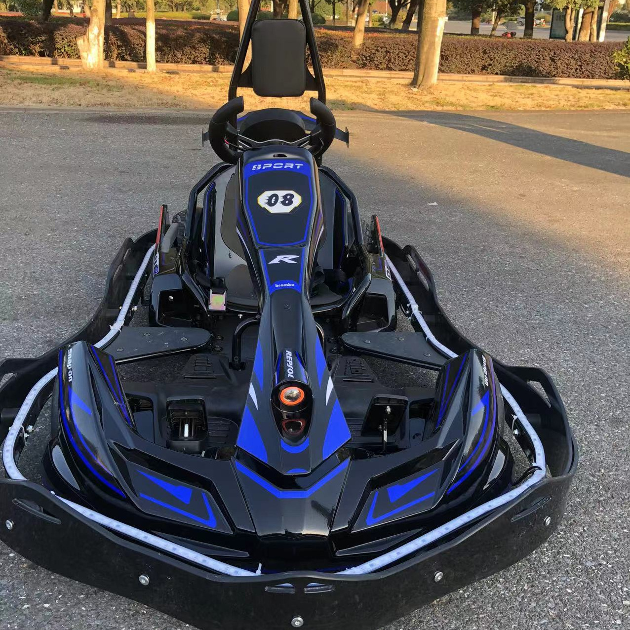 Hot Sale Go Kart Pro high speed kids racing go karting adult racing go kart for sale max speed 60km/h