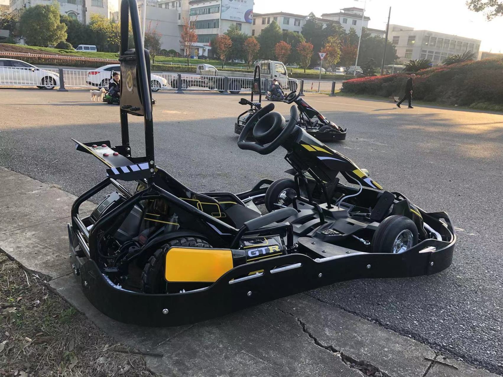 Hot Sale Go Kart Pro high speed kids racing go karting adult racing go kart for sale max speed 60km/h