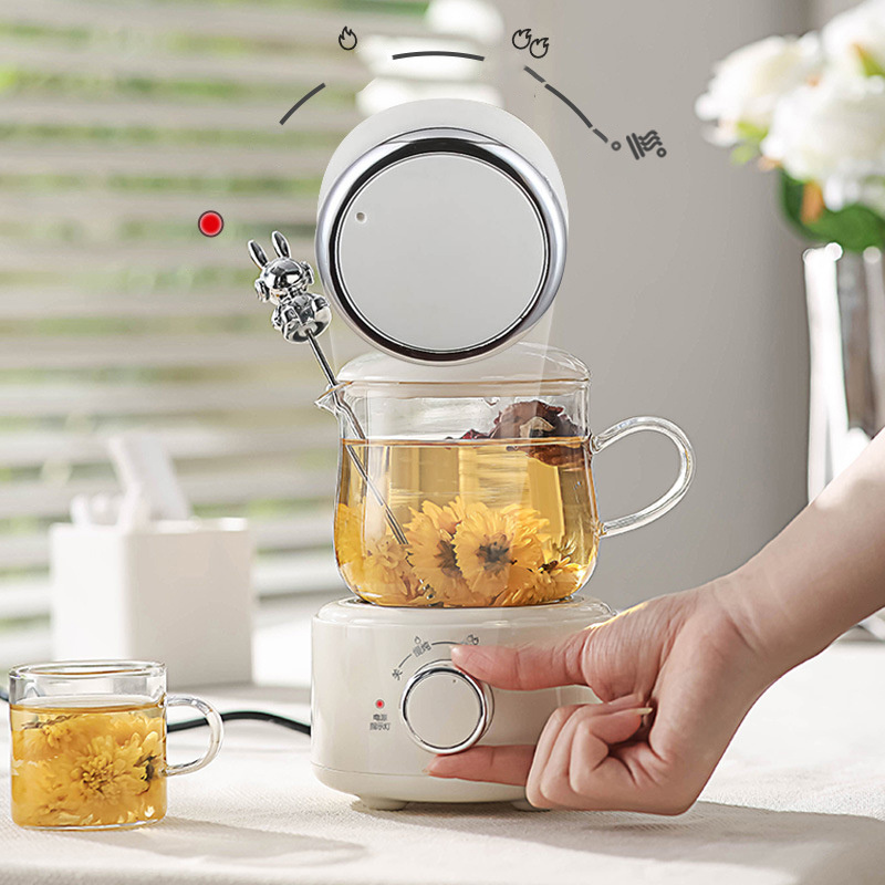 Multi-functional mini health electric stew cup small tea maker bird's nest rose portable office smart Health cup