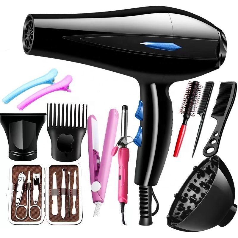 Factory price hair blower dryer Hair Care Hairdryer home appliances hair dryer With Styling Accessories