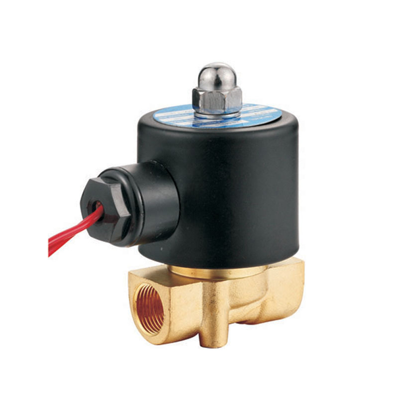 Top 2 way 2 position 2w series BBQ grilling propane gas 12volt brass normally closed 1/4BSP gas shut off lpg solenoid valve