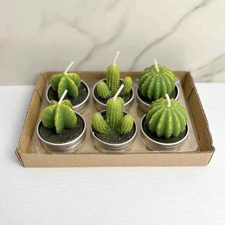 Handmade Scented Solid Art Artificial Mini Cactus Candles Aromatherapy Plant shape candle With Jar Box