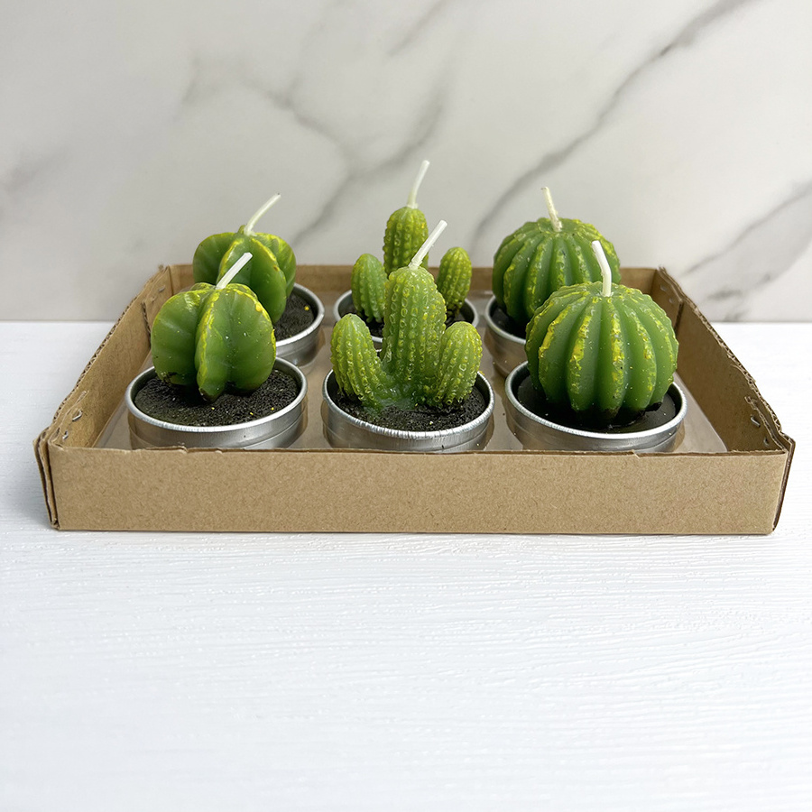 Handmade Scented Solid Art Artificial Mini Cactus Candles Aromatherapy Plant shape candle With Jar Box