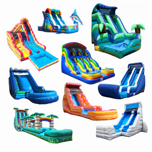 Small Slide Inflatable Drylide Inflatable Slide Car Boat Water Sea Lighthouse Tube Lake Slides Snapping Crocodile