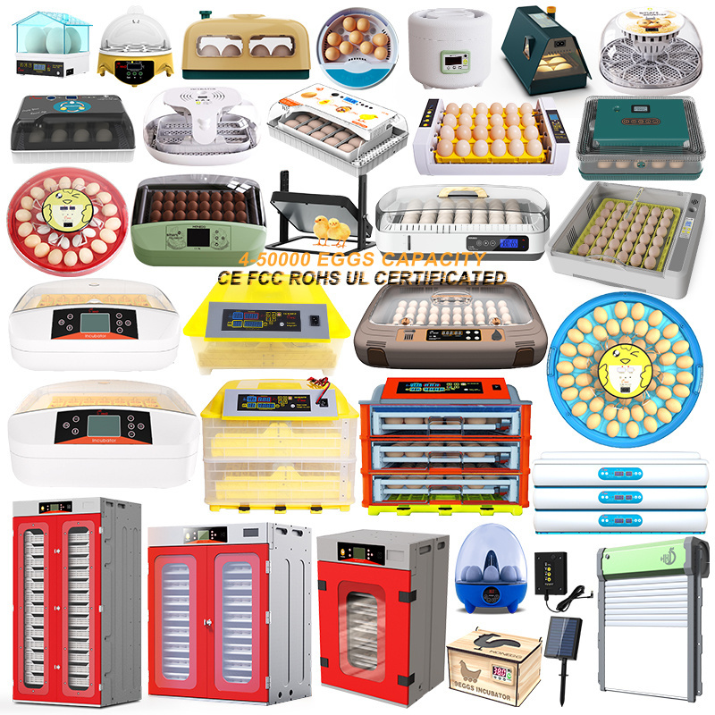 Wonegg Mini 144 288 Egg Chicken Turtle Quail Pigeon incubator 400eggs 12v Power Supply Hatching 14784 19200 Eggs Capacity