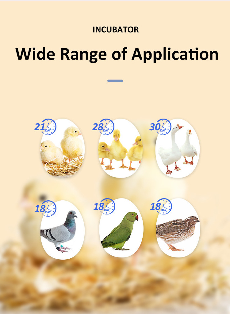 HHD WONEGG Best Quality Fully Automatic Thermometer Egg Brooder and ElectronicHatcher