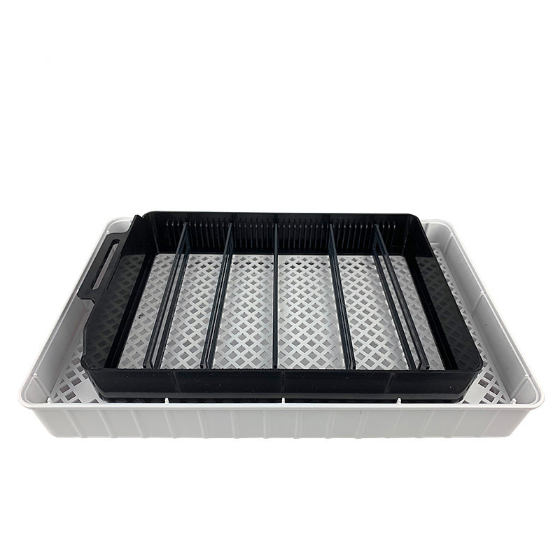 Hot Selling Mini Chicken Parrot Egg Incubators for Sale in Germany Turkey South Africa Uzbekistan Argentina Indonesia Malaysia