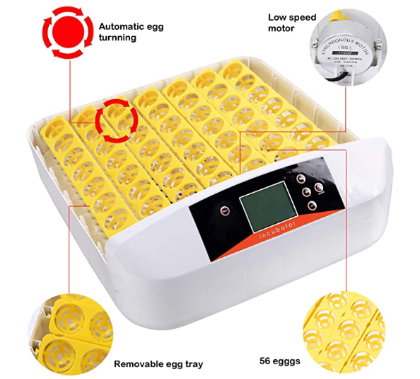 Hot Sale Free Shipping Egg Incubator Germany for Wholesales HHD EW-56A