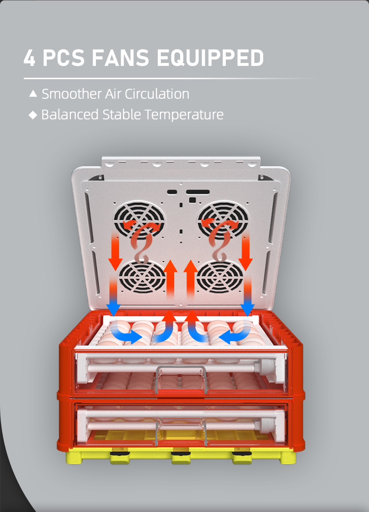 Affordable HHD Setter Hatcher Combined Incubator 100 to 300 Egg Brooder Shelves