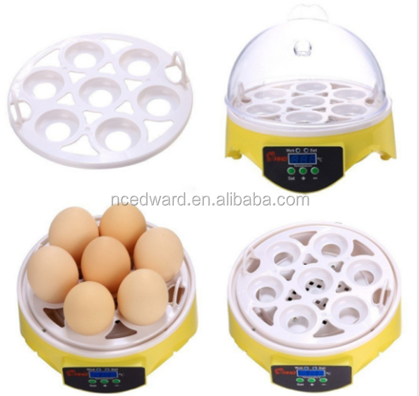 HHD Turtle Egg Incubator Hatching Machine Price for Sale in Nepal EW9-7 Mini 7 Eggs Incubator Automatic Egg Turning 8-10 Years