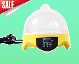 HHD Turtle Egg Incubator Hatching Machine Price for Sale in Nepal EW9-7 Mini 7 Eggs Incubator Automatic Egg Turning 8-10 Years