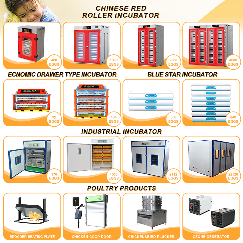 Wonegg Mini 144 288 Egg Chicken Turtle Quail Pigeon incubator 400eggs 12v Power Supply Hatching 14784 19200 Eggs Capacity