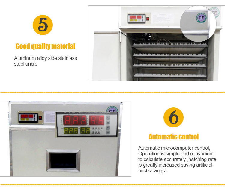 HHD incubator cimuka fish hatchery equipment hatcheries eggs in algiers price YZITE-12