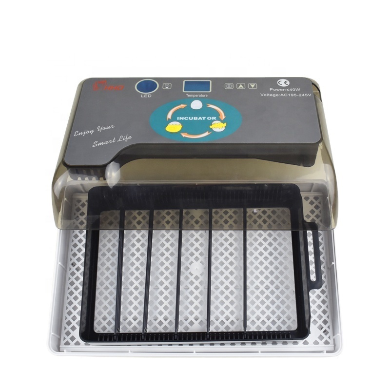 HHD Top Sale Mini 12 Eggs Incubator For Canary Egg Reptiles Tilapia Fish Egg Incubator