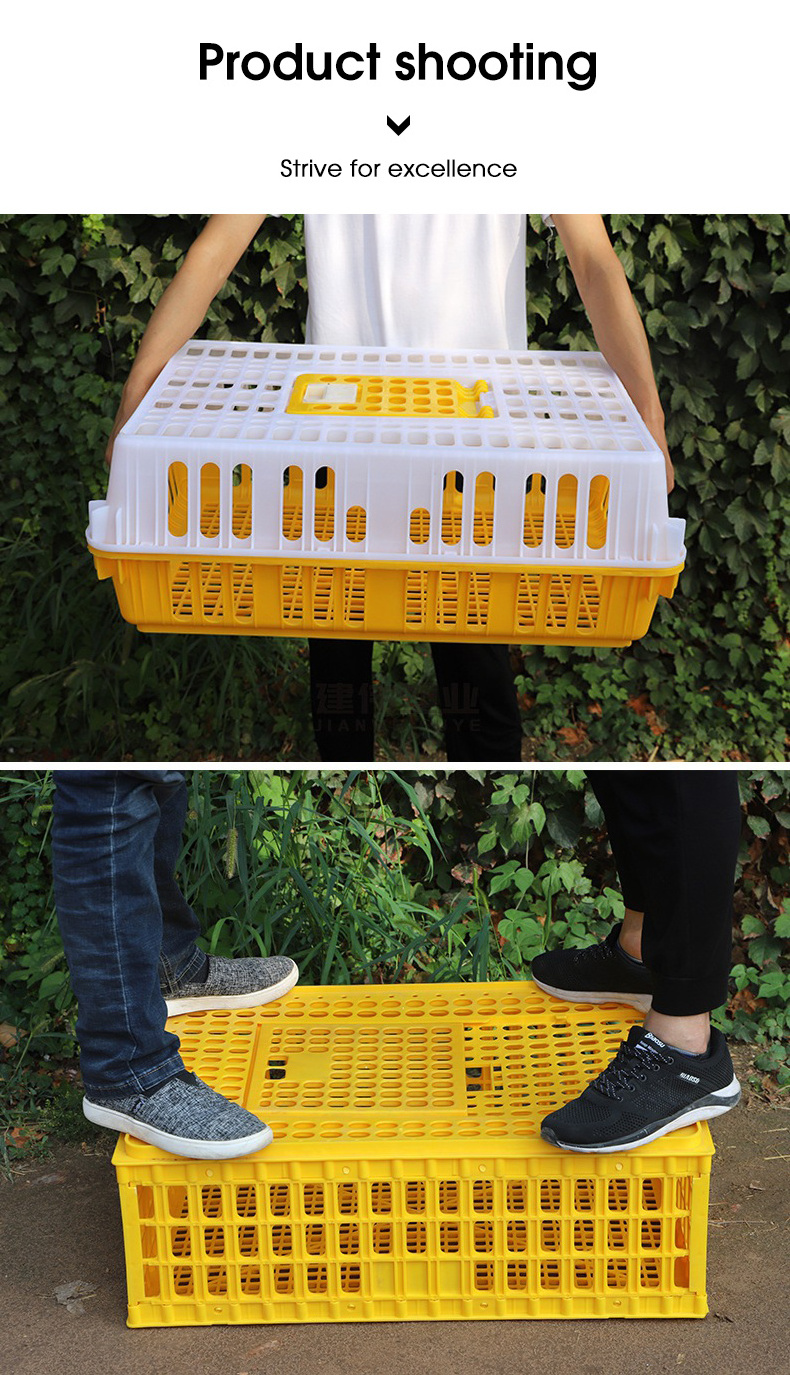 HDPE Plastic pigeon Chicken Transport Crate Poultry Carrying Boxes