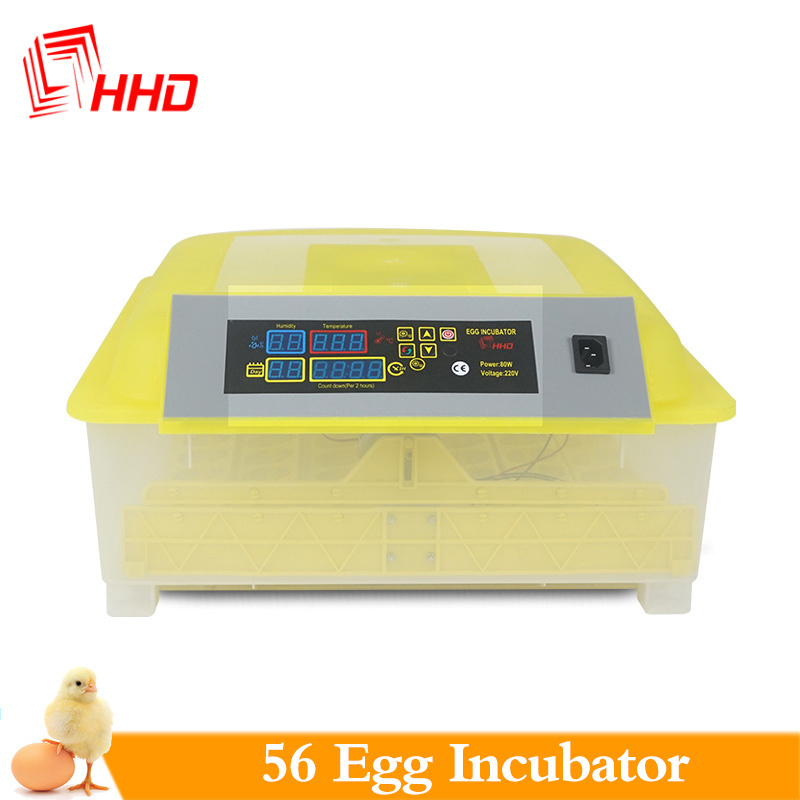 New Style Macaw Parrot Prices Turtle Eggs Incubator for Sale Chicken Reptile Turkey Spare Parts Provided Online Support Retail