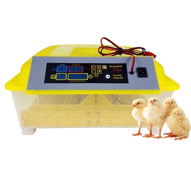 HHD mini size egg incubator with automatic egg turning 48 capacity poultry egg incubator for sale