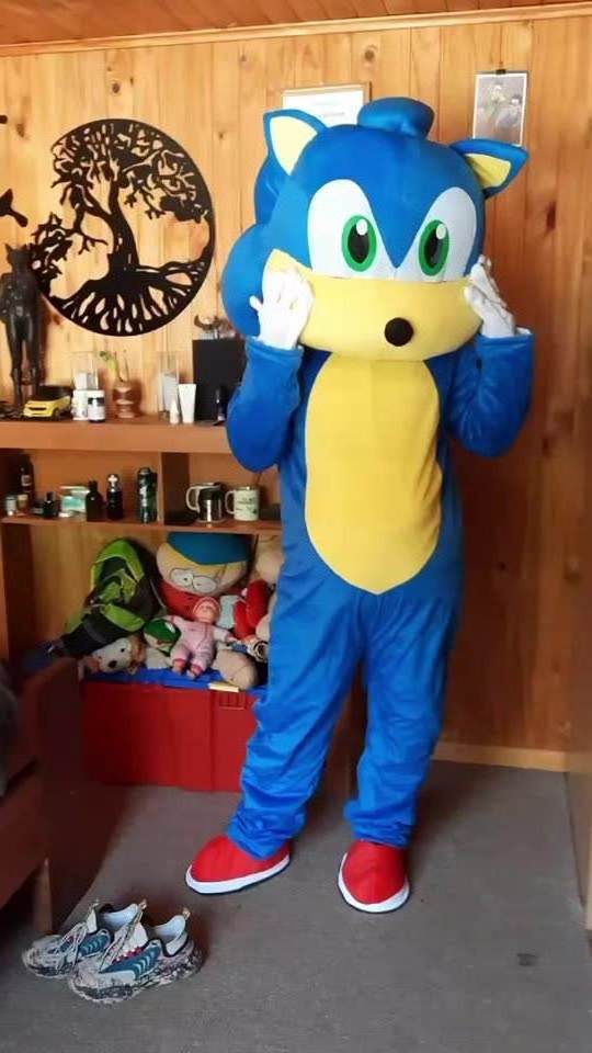 Factory Sonic Mascot Costume Plush Mascot Costume For Adult Halloween Birthday adults fancy dress Outfit