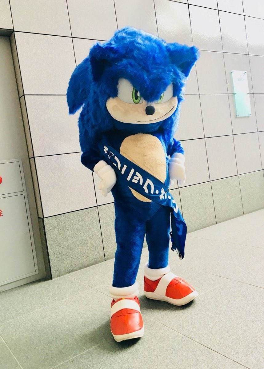 Hot 2023 New Sale Sonic Hedgehog Mascot Costume Plush Mascot Watermelon Mascot Costume Halloween Fancy Dress