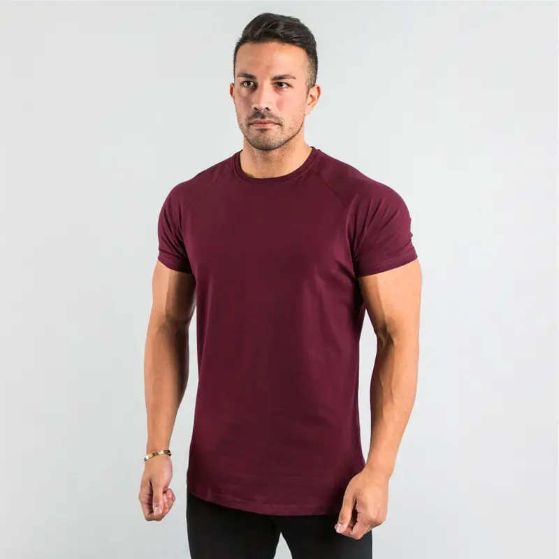 95%cotton 5% elastane custom private logo fitness gym wear sports apparel plain blank men Short Sleeve  T Shirt