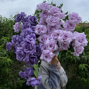 25.5" Inch 65cm Wedding Decoration Roses 3 Heads Silk Wedding Rose Artificial Flower Stems Purple Rose