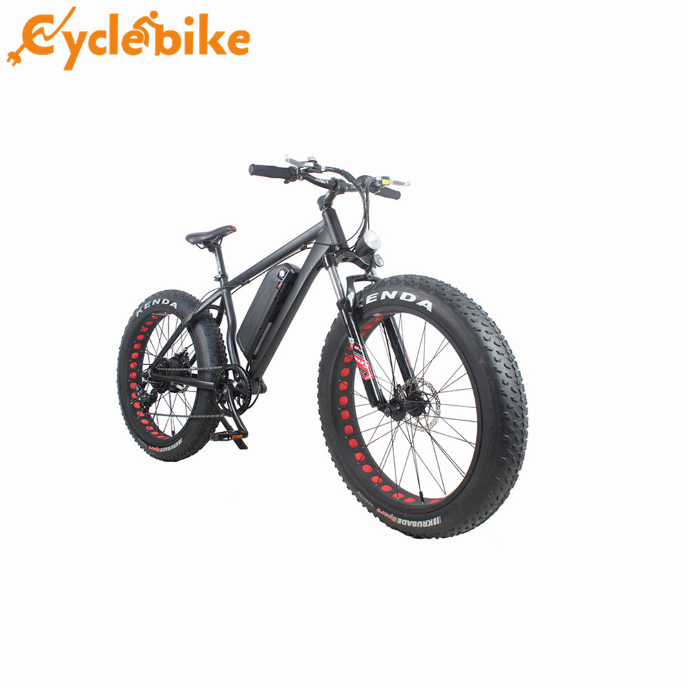 2017 new style Suspension electric bike 48v 750w fat bike electric fat bike with bicycle tire 26x4.0