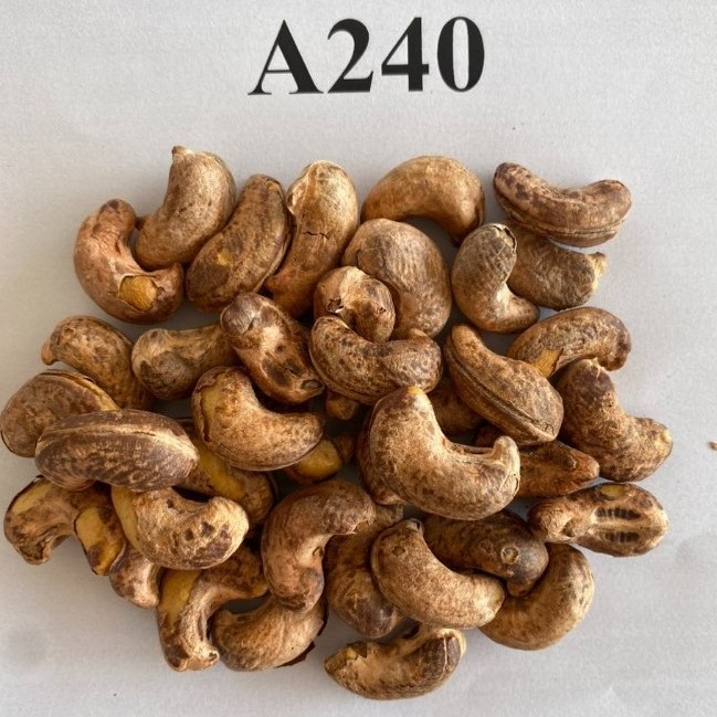 Salted Roasted Cashew Nuts With Skin Delicious Taste Vietnamese Roasted Cashew Nuts A320 A240 A180 Competitive Prices