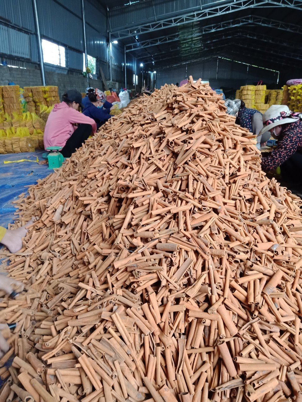 From Viet Nam Manufacturer Cinnamon Stick And Powder Cinnamon Stick Split Cassia With Competitive Price